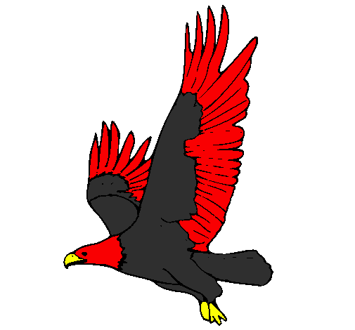 Desenho Águia a voar pintado por mkmkmkmk