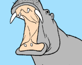 Desenho Hipopótamo com a boca aberta pintado por nickolas