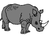 Desenho Rinoceronte pintado por jose