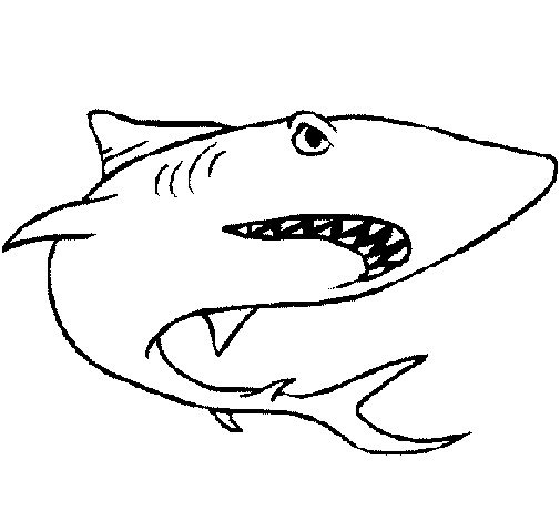 Desenho Tubarão pintado por bruno