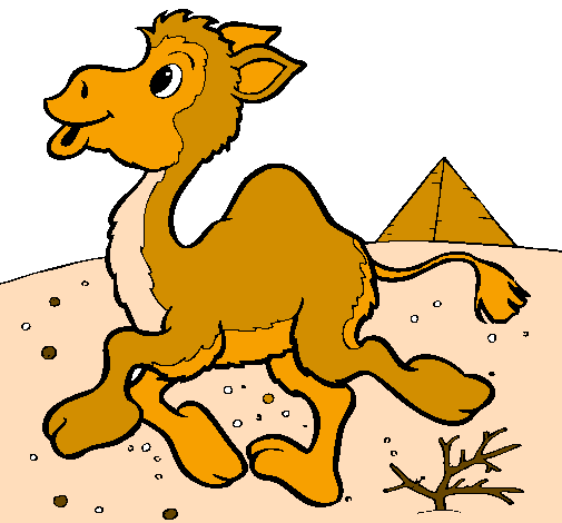Desenho Camelo pintado por Camelão