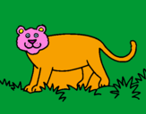 Desenho Panthera  pintado por tigre