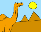 Desenho Camelo pintado por ben10 alien force