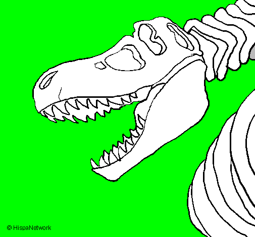 Desenho Esqueleto tiranossauro rex pintado por ben10