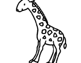 Desenho Girafa pintado por joao