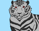 Desenho Tigre pintado por jean