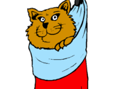 Desenho Gato dentro de uma meia pintado por Lívia