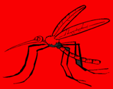 Desenho Mosquito pintado por aLEXSDFGFNNM,.,L0ÅP