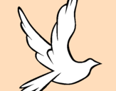 Desenho Pomba da paz a voar pintado por luciane