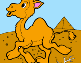 Desenho Camelo pintado por laura
