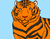 Desenho Tigre pintado por guilherme augusto valtrin