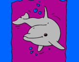 Desenho Golfinho pintado por le ylane