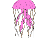 Desenho Medusa pintado por Murilo