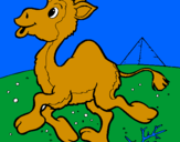Desenho Camelo pintado por mic