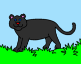 Desenho Panthera  pintado por anónimo