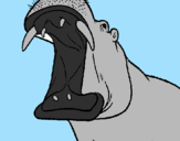 Desenho Hipopótamo com a boca aberta pintado por guilherme