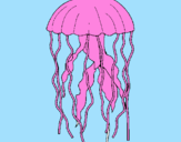 Desenho Medusa pintado por isis