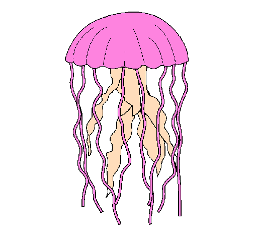 Desenho Medusa pintado por amnsa