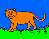 Desenho Panthera  pintado por felipe cabral