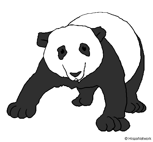 Desenho Urso panda pintado por gabriela