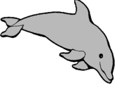 Desenho Golfinho contente pintado por jana