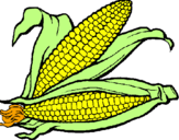 Desenho Espiga de milho  pintado por MHelena