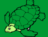 Desenho Tartaruga pintado por felipe cabral