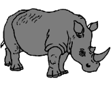 Desenho Rinoceronte pintado por mariana