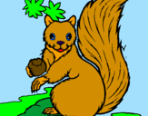 Desenho Esquilo pintado por felipe