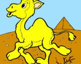 Desenho Camelo pintado por nickolas   miguel
