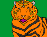 Desenho Tigre pintado por selvagem