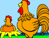 Desenho Galo e galinha pintado por francielly