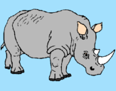 Desenho Rinoceronte pintado por ana