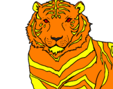 Desenho Tigre pintado por joaovitor
