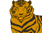 Desenho Tigre pintado por Gustavo