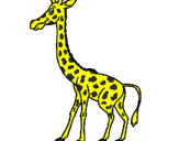 Desenho Girafa pintado por marco antonio