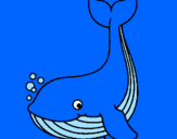 Desenho Pequena baleia pintado por beatriz