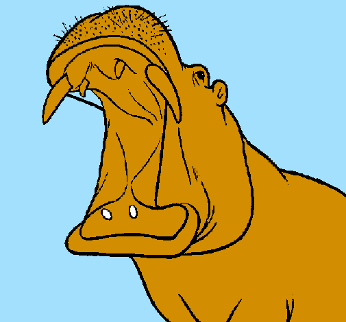 Desenho Hipopótamo com a boca aberta pintado por guilherme pretel