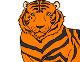 Desenho Tigre pintado por leonardo