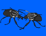 Desenho Escaravelhos pintado por jociel finger -Itaqui