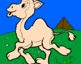 Desenho Camelo pintado por felipe cabral