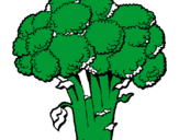 Desenho Brócolos pintado por dudinha