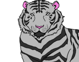 Desenho Tigre pintado por nayhara
