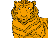 Desenho Tigre pintado por TIGRE