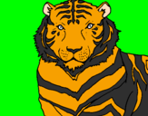 Desenho Tigre pintado por ana