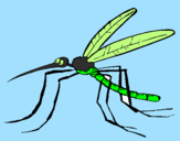 Desenho Mosquito pintado por leylane 