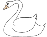 Desenho Cisne pintado por GLAUCIA