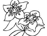 Desenho Flores pintado por flor rapunzel