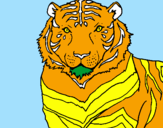Desenho Tigre pintado por Tutu Cientista