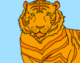 Desenho Tigre pintado por henrique